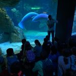 acquario di Genova